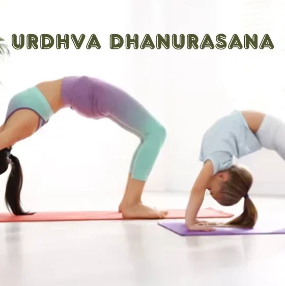 Urdhva Dhanurasana