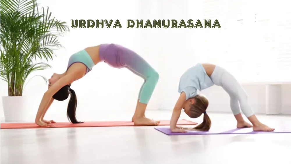 Urdhva Dhanurasana