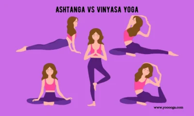 Ashtanga Vs Vinyasa