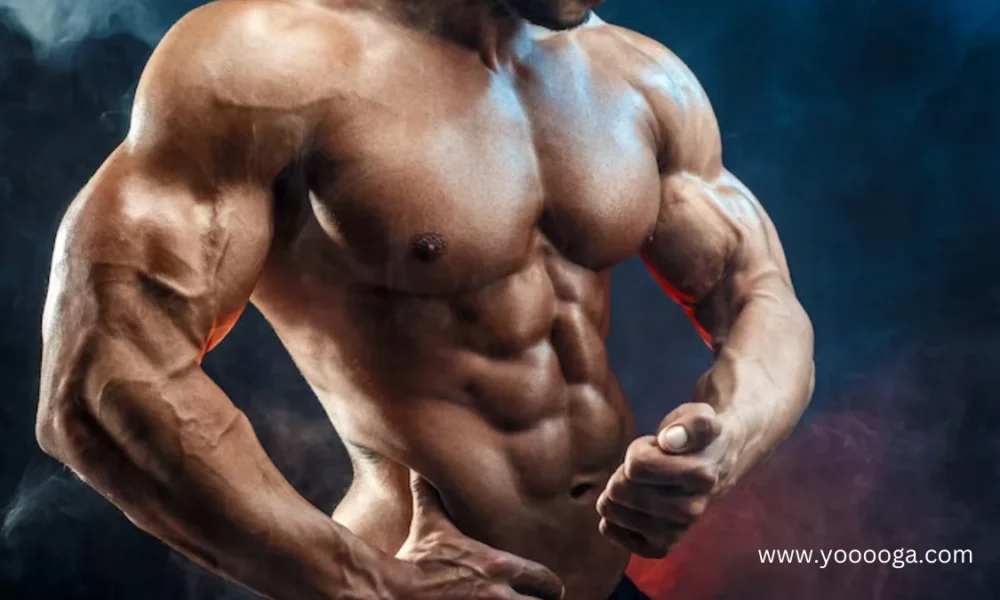 WellHealth How to Build Muscle Tag?