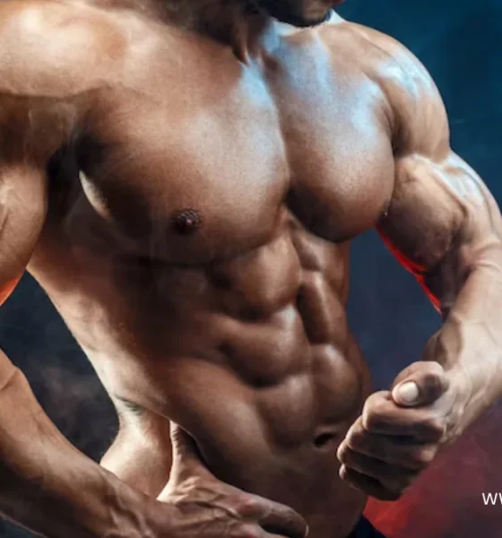 WellHealth How to Build Muscle Tag?