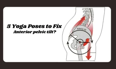 Anterior Pelvic Tilt