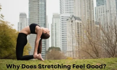 Why Does Stretching Feel Good