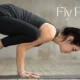 Fly Pose