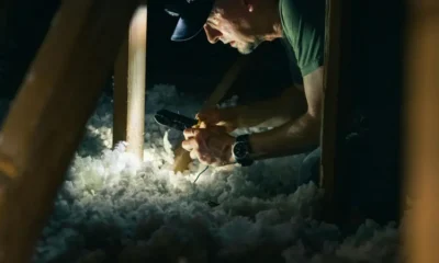 Attic Mold Remediation