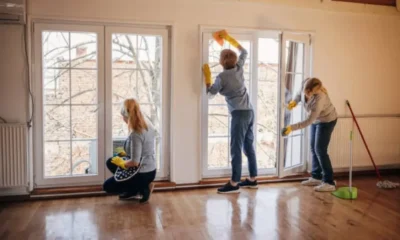 Professional Cleaning
