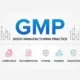 GMP Manufacturing