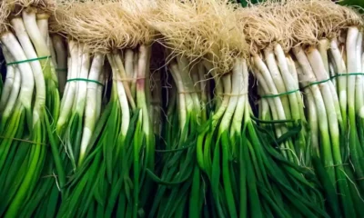 Scallions