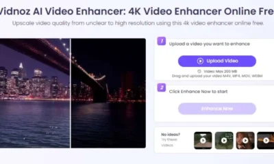 Vidnoz AI