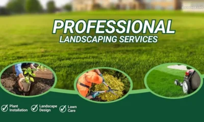 Professional Landscaping Services
