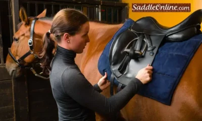 SaddleOnline.com