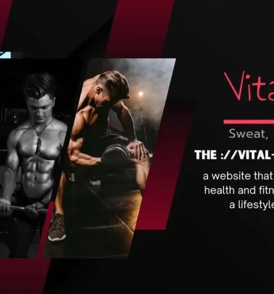The ://vital-mag.net Blog