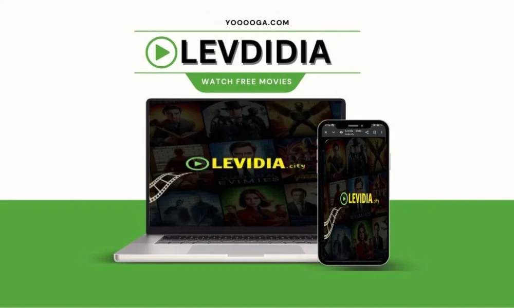 Levidia A Comprehensive Look at the Free Streaming Platform
