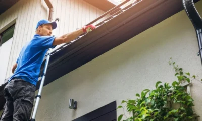 Gutter Cleaning
