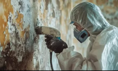 Mould Treatment