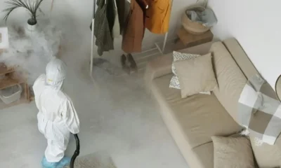 10 Compelling Reasons to Keep a Pest Control Company on Speed Dial