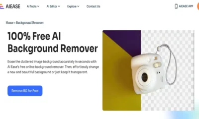 AI Ease Background Removal