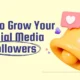 Top 20 Reliable Platforms for Increasing Social Media Followers Safely