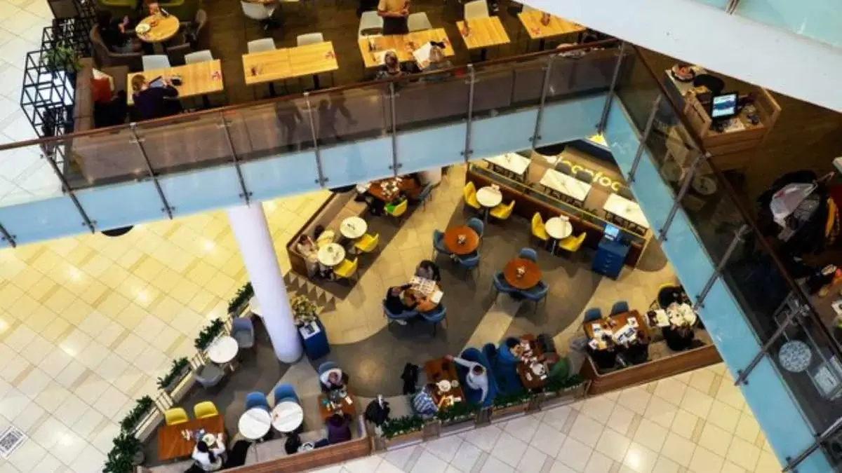 Cafe Fitouts