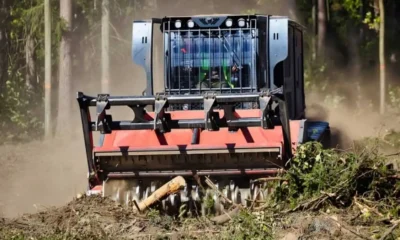 Forestry mulching is a one-step process that uses specialized machinery to cut, grind, and spread organic material back onto the ground.