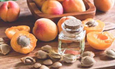 Apricot Seeds