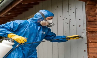 Pest Control