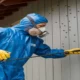 Pest Control