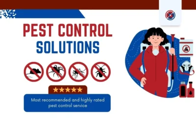 The Importance of Year-Round Pest Control: Why Prevention is Key
