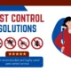 The Importance of Year-Round Pest Control: Why Prevention is Key
