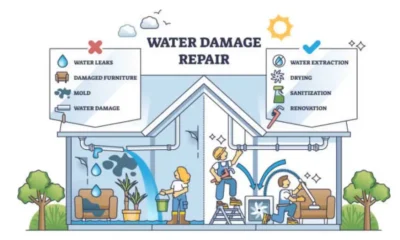 Understanding Water Damage Restoration: A Guide to Protecting Your Property