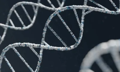 Beyond the Test: Getting Understanding From Your MyHeritage DNA
