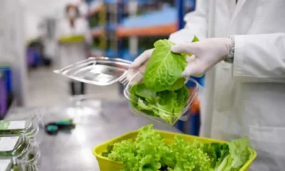 Advances in Food Safety Testing: How Technology is Improving Listeria Detection in Packaged Salads