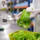 Advances in Food Safety Testing: How Technology is Improving Listeria Detection in Packaged Salads