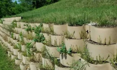 Innovative Retaining Wall Solutions for Erosion Control and Landscape Design