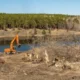 The Importance of Professional Land Clearing for Safe and Efficient Site Development