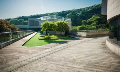 The Role of Concrete in Modern Outdoor Living Spaces