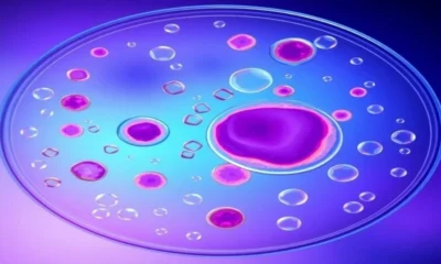 Vero Cells: The Powerhouse of Viral Research and Vaccine Development