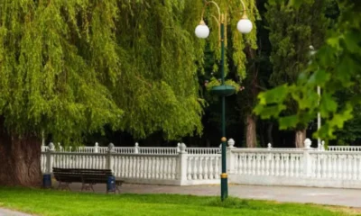 Beyond the Fence: Creative Ways to Use Fencing in Landscape Design