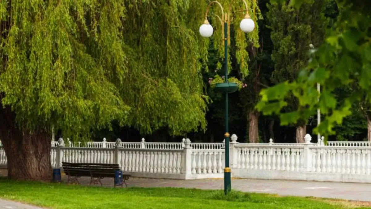 Beyond the Fence: Creative Ways to Use Fencing in Landscape Design
