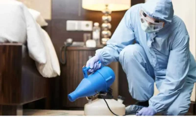 Can you stay in the house after pest control in Calgary