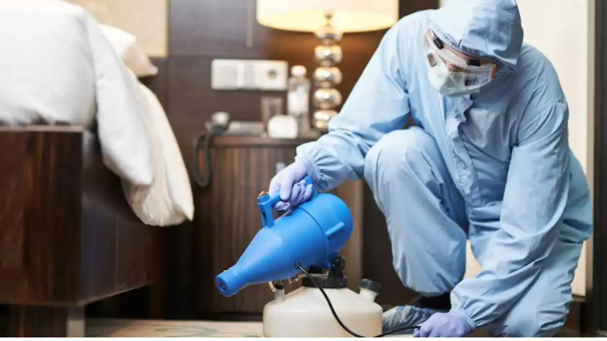 Can you stay in the house after pest control in Calgary