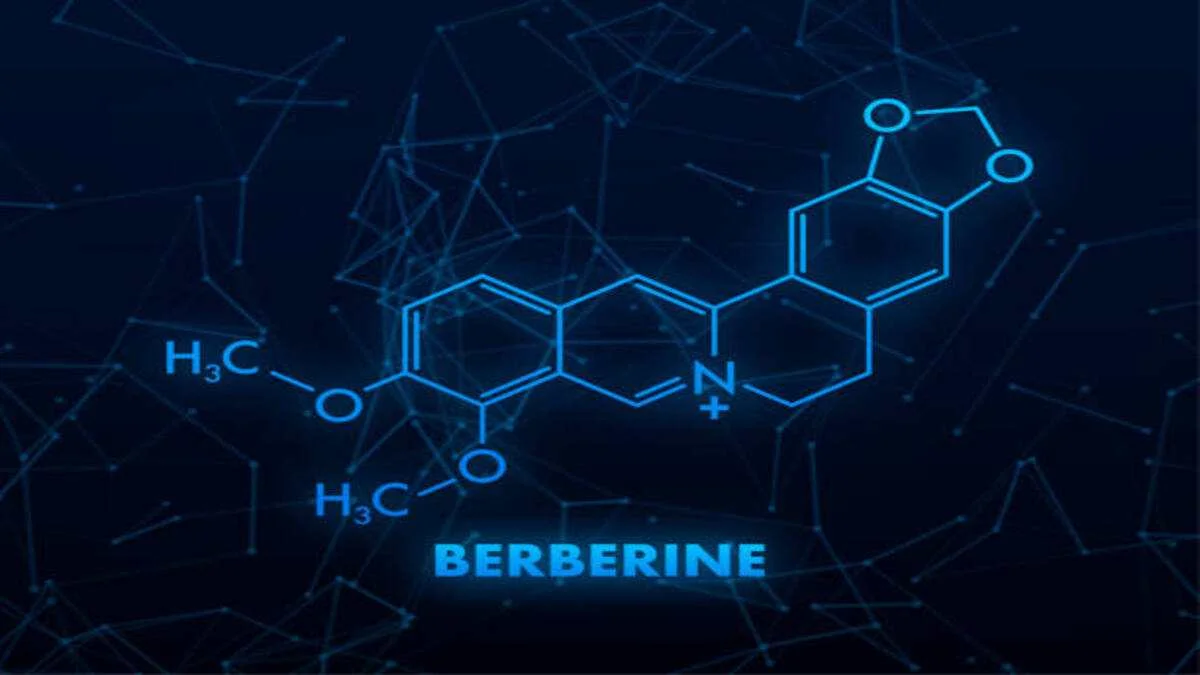 Is Berberine Right for You? What Research Says