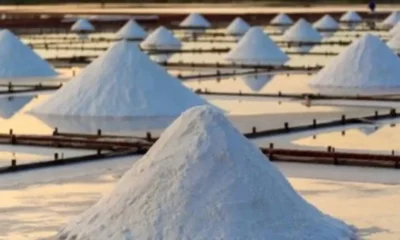 Sodium-ion Battery Market is growing! | Three Core Tracks, Layout Combing