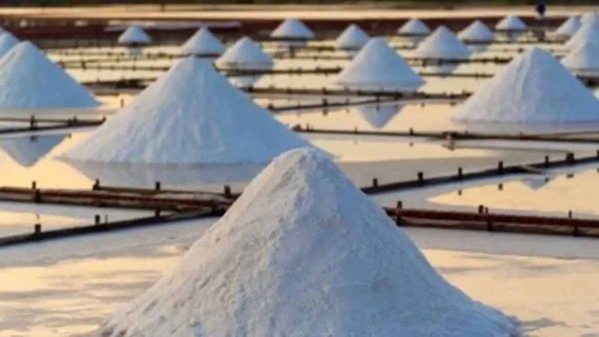 Sodium-ion Battery Market is growing! | Three Core Tracks, Layout Combing