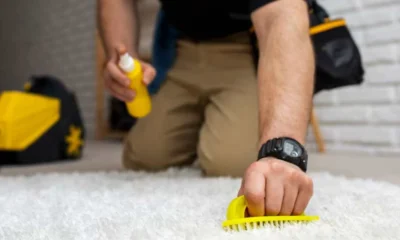 The Hidden Impact of Carpet Cleaning: Why Clean Floors Matter More Than You Think