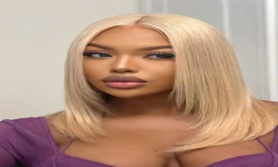 Wig Tour: Bold Styles for Every Mood