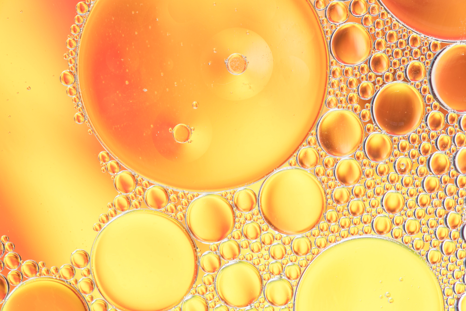 Layer Niacinamide