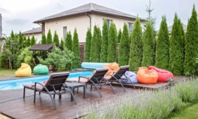 DIY Pool Landscaping: Simple Ideas for Poolside Style