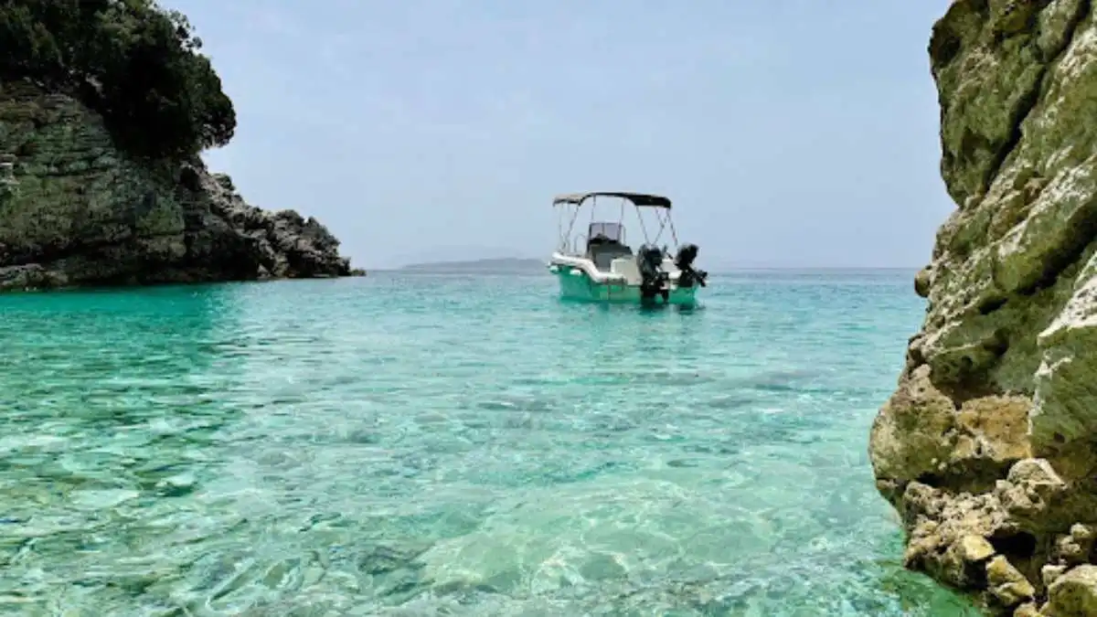 Discover the Depths: Morning Diving Tour through Hawaii’s Crystal Waters