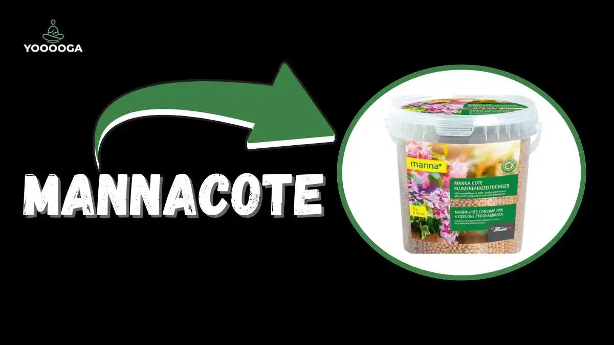 Mannacote